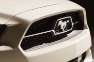 2015 Ford Mustang GT 50 Years Limited Edition Coupe Front Badge