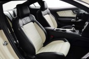 2015 Ford Mustang GT 50 Years Limited Edition Coupe Interior