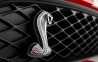 2011 Ford Shelby GT500 Front Grille and Badging