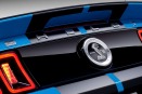 2013 Ford Shelby GT500 Coupe Rear Badge