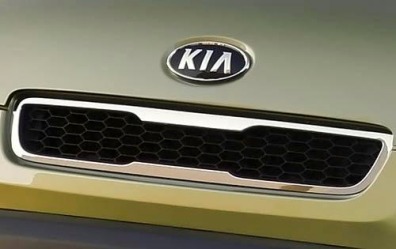 2010 Kia Soul Front Grille and Badging