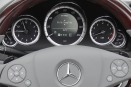 2012 Mercedes-Benz E-Class E350 Convertible Steering Wheel Detail